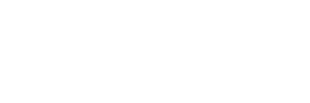 AERO-E esim